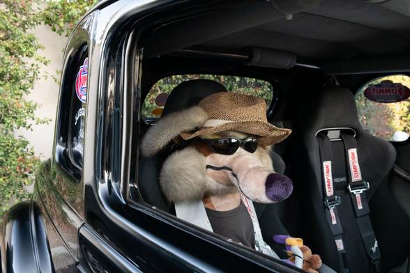A large plush Wile E Coyote, wearing sunglasses and straw hat, belted into the passenger seat of a black hot rod
