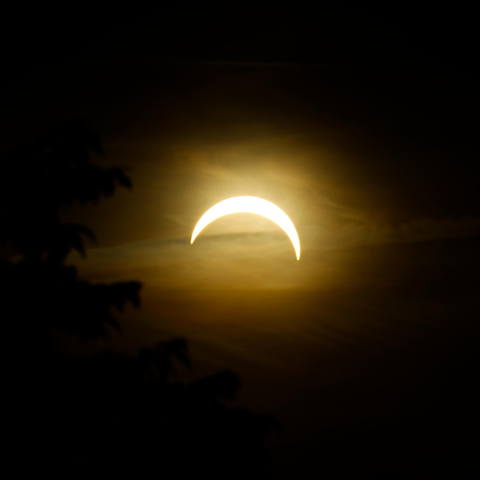 Das Bild zeigt eine sichelförmige Sonne. Die Rundung weist nach oben. Eine dünne Wolkenschicht ist zu erkennen. Links im Bild die Sihouette eines Baums.