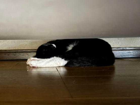 A black and white cat is curled up and sleeping on a wooden floor, partially hidden beneath a couch.