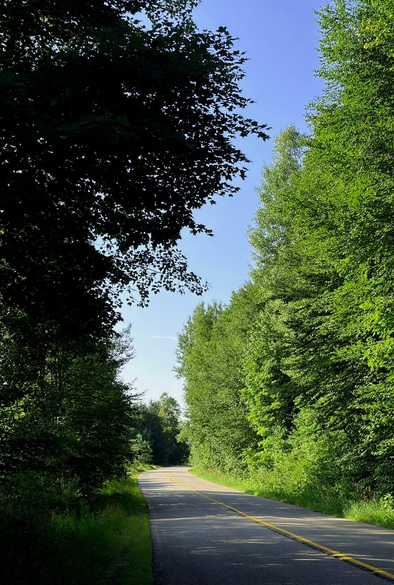 Photograph of a small country road, paved with asphalt and marked with a yellow line, bordered by green forest on both sides, under a blue sky. The shadows of the trees are cast perpendicularly onto the road.

Photographie d'une petite route de campagne, asphaltée avec une ligne jaune, bordée de forêt verte des deux côtés, sous un ciel bleu. L'ombre des arbres est projetée perpendiculairement sur la route.