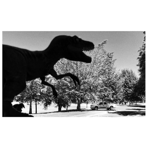 Black and white photo of a park with many trees on a sunny day. A small, distant pickup truck sits parked in the shade of a tree. The scene would be tranquil except for the large, looming silhouette of a T-Rex stomping in from the left, jaws open, ready to devour. In reality it’s a small dinosaur toy I’m holding up close to the camera, as I let forced perspective do its thing.