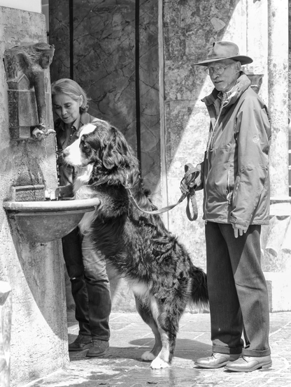 Ein Brunnen an einer Wand, der dort in Bauchnabelhöhe angebracht ist. Ein großer Hund trinkt direkt das fließende Wasser aus dem Brunnen. Rechts vom Hund steht eine männliche Person mit Jacke und Hut. Links etwas hinter der Mauer ist noch eine Frau zu erkennen.