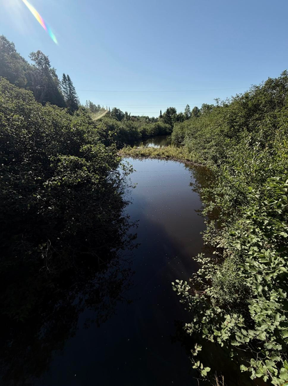 Photograph of a small river at dawn, taken from a small bridge, at a point where it bends and the water is very calm, reflecting the intense blue of the sky and the surrounding forest. The rays of the rising sun are visible from the upper left corner. On the riverbanks, the vegetation is lower, consisting mainly of green bushes.

Photographie d'une petite rivière au petit matin, prise à partir d'un petit pont, à un endroit où elle fait un coude et l'eau est très calme, reflétant le bleu intense du ciel et la forêt autour. Les rayons du soleil levant sont visibles à partir du coin supérieur gauche. Sur les rives de la rivière, la végétation est plus basse, constituée de surtout buissons verts.