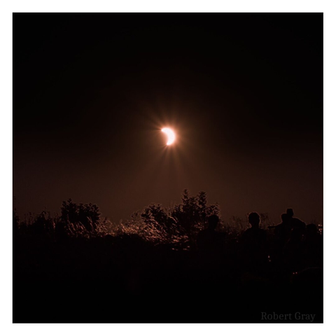 A partial solar eclipse with bushes and viewers silhouetted in the foreground.