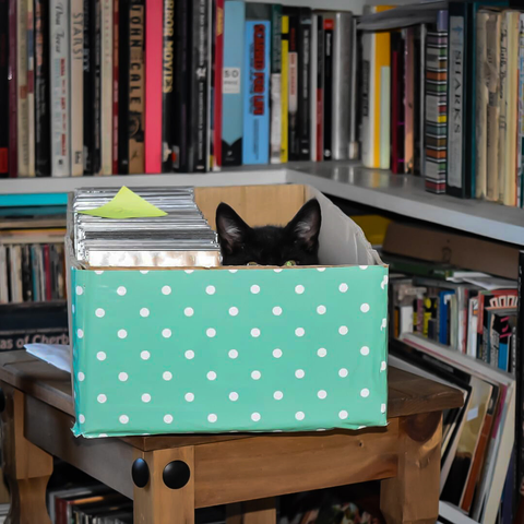 A black kitten peeking out over the edge of a teal box with white polka dots. Only its ears and half of its eyes show over the side. He is sitting next to a row of CD cases which line the left side of the box. The box is sitting on a small wooden side table with black rivets. In the background is a full bookcase with some colourful spines showing.